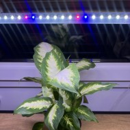 LED GROW trubica pre rast rastlín, 18W, 120 cm, plné spektrum 